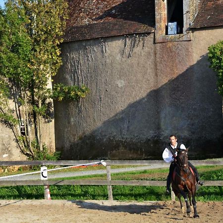 Chateau Des Noces Bazoges-en-Pareds Buitenkant foto