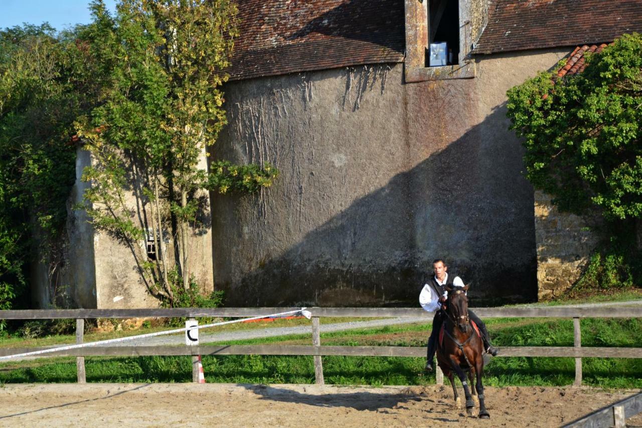 Chateau Des Noces Bazoges-en-Pareds Buitenkant foto